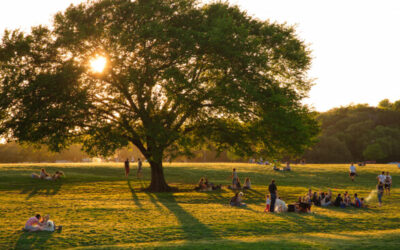 The Parks Board Regroups