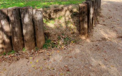 The Trails Conservancy Succeeds in Removing Protections for Lady Bird Lake—An In-Depth Account