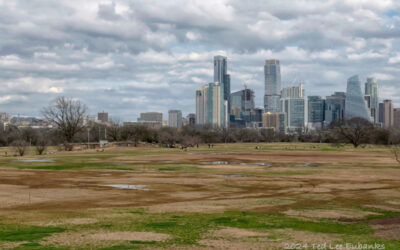 Zilker Park is being “Loved to Death” by  The Austin Parks Foundation, ACL Festival, and Friends