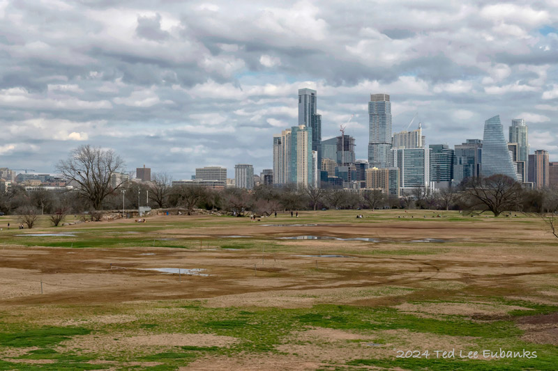 Damage done to Zilker by Austin City Limits (ACL)