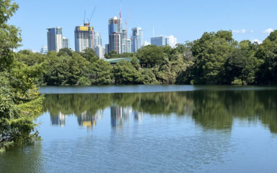 Free Zilker and Allies Fight Expedition School Takeover of Chicano Park